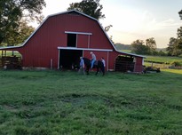 20140905_182935