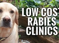 Rabies clinics copy %282%2920180418 1862 kynxaz