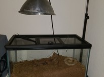 20180602 06590820180602 2235 1wr26rb