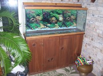 Buttons and aquarium 017