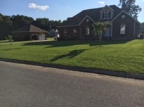 Image1