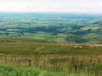 P1000936