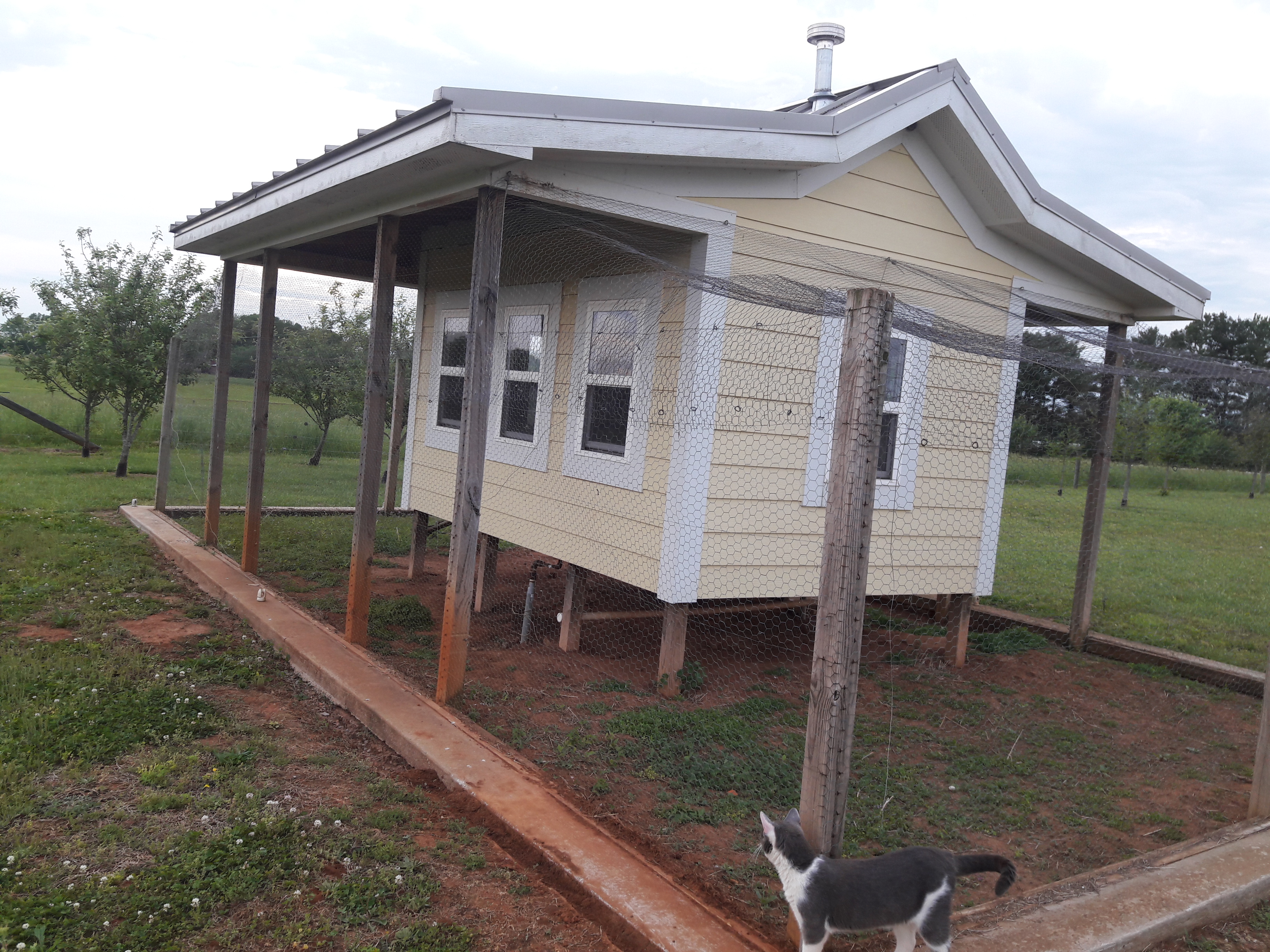 Designer Chicken Coop in Decherd, TN - Exchange931.com